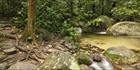 Wurrmbu Creek - Mossman Gorge - QLD T (PBH4 00 17008)
